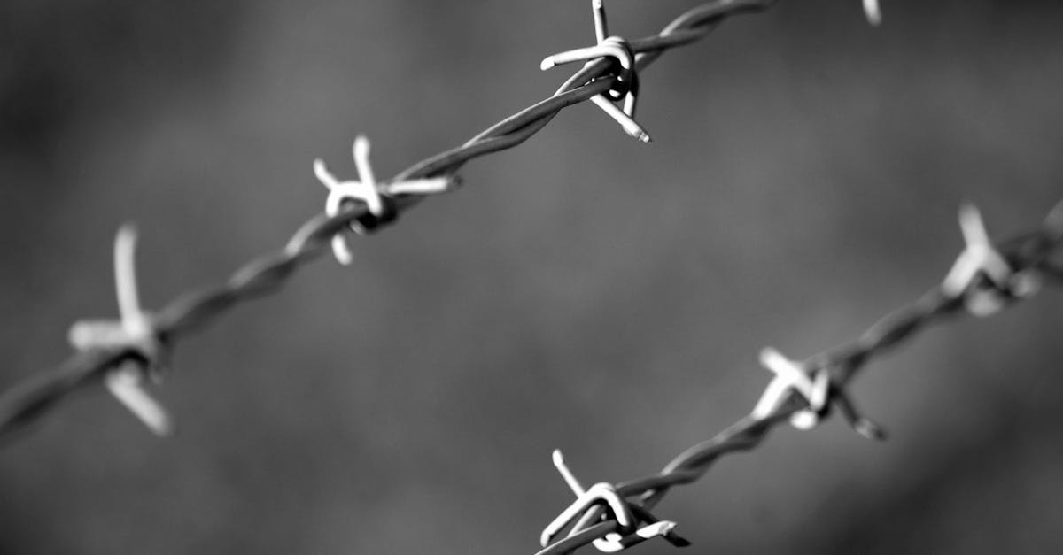 DDOS网页端|阿里旺旺免费注册账号