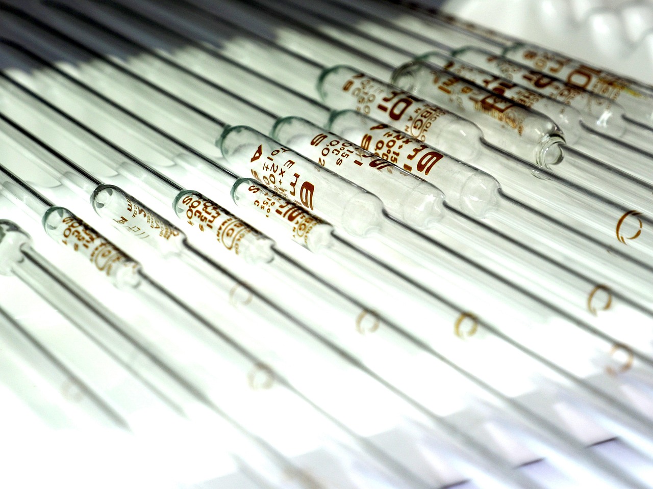 海鸥实名账号：得物app详情下载教程官方版