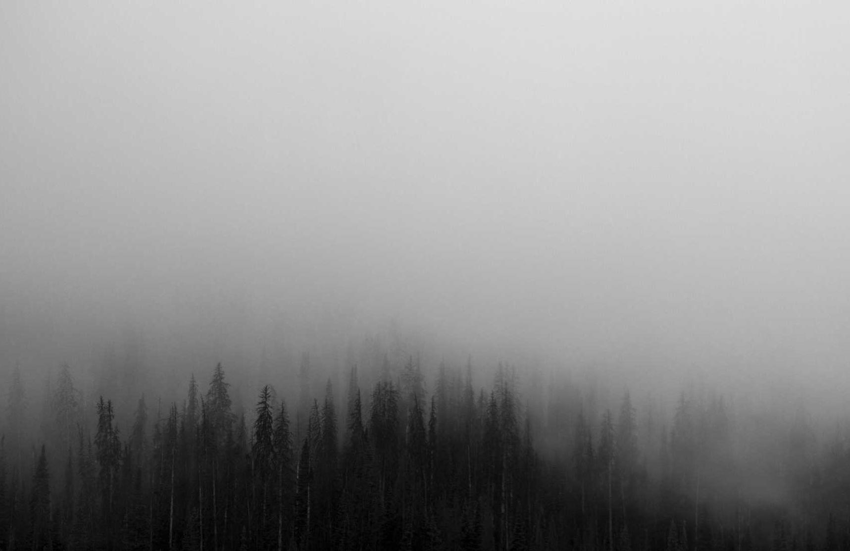 定制实名认证账号：详情下载教程户外App