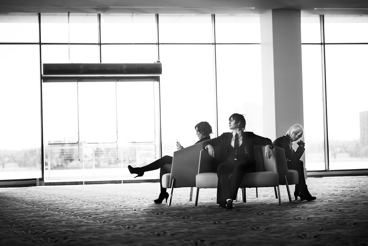 放开那三国3:枣庄宠物购买平台