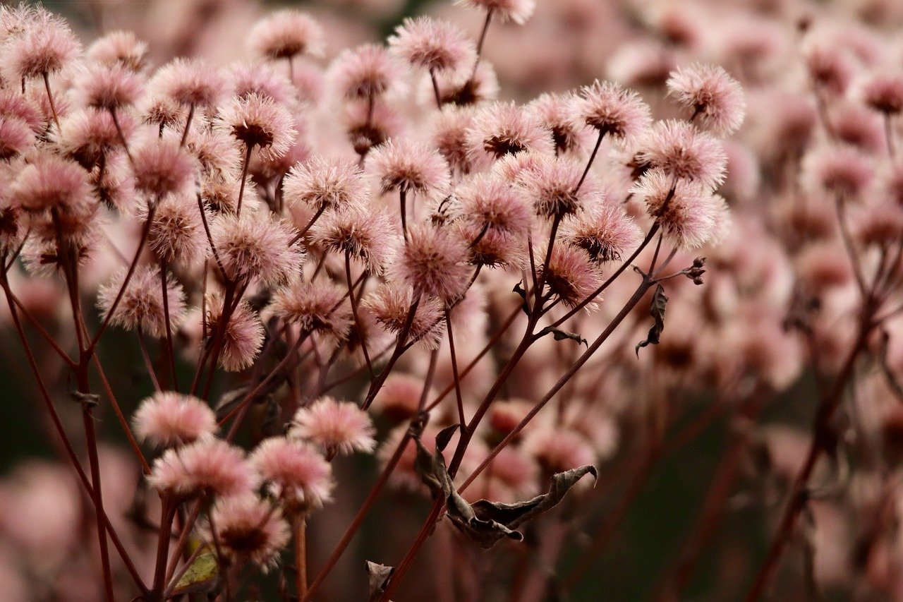 微博实名账号：怎么详情下载教程手环app