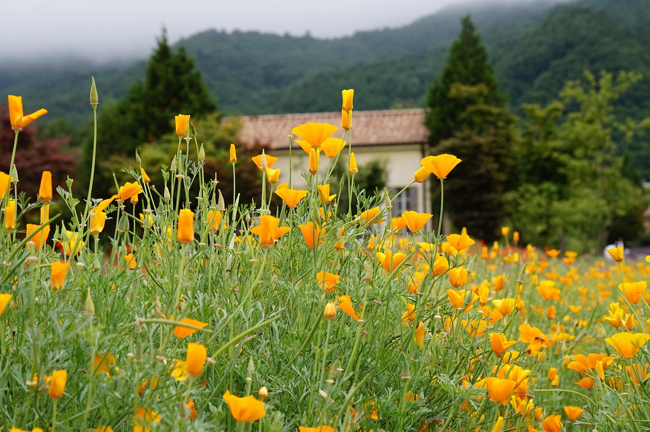 可乐企业营销中的目标市场和消费者定位
