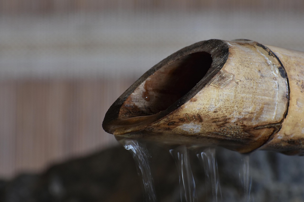 天龙八部2(国际服):购买电车的平台