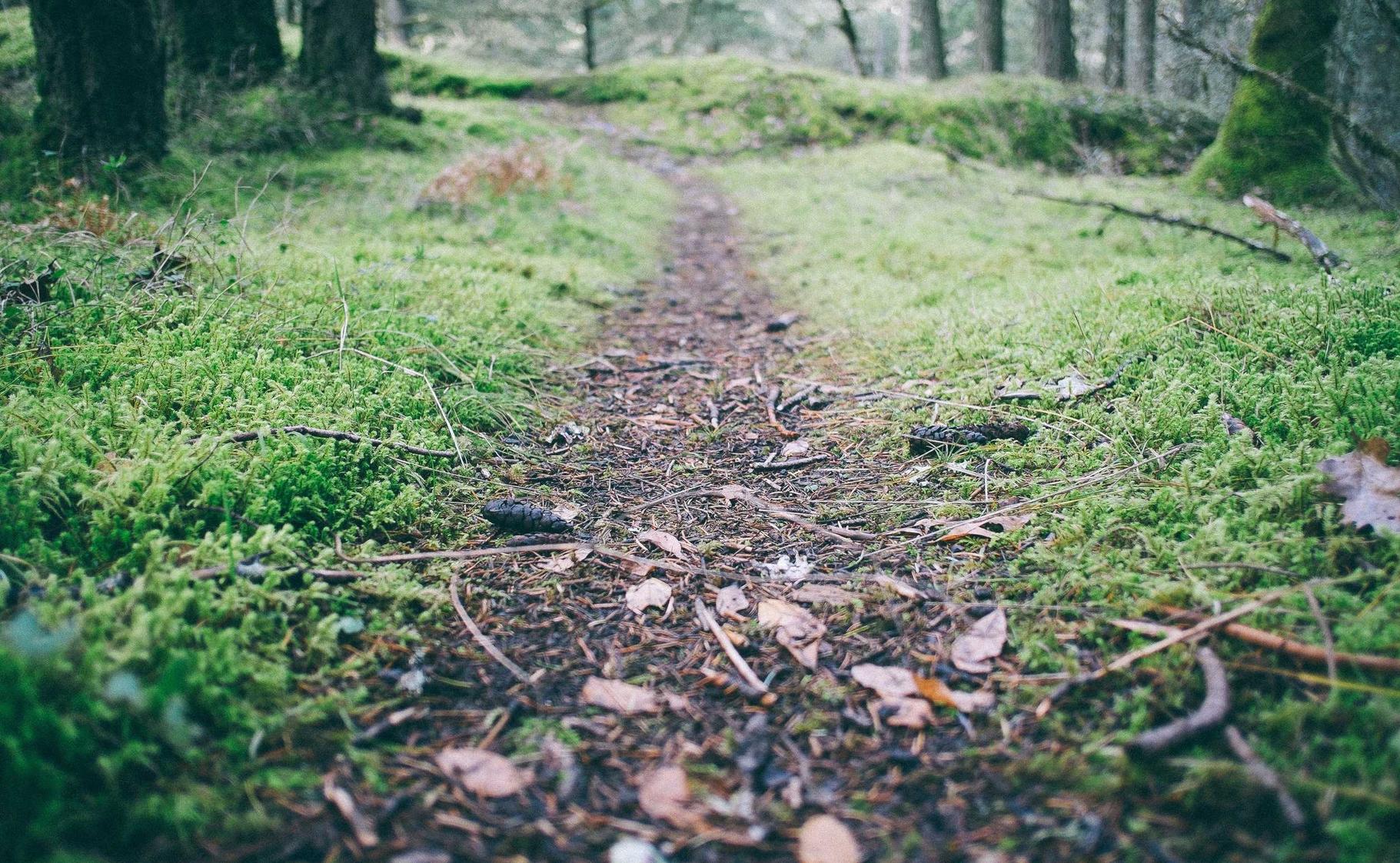 微信新号买卖：正规注册代理记账