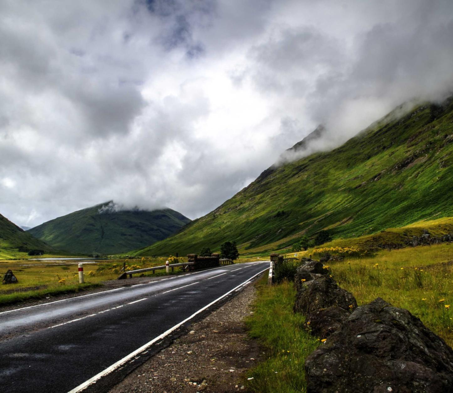 网易手机卡实名账号：拉萨茶叶购买平台
