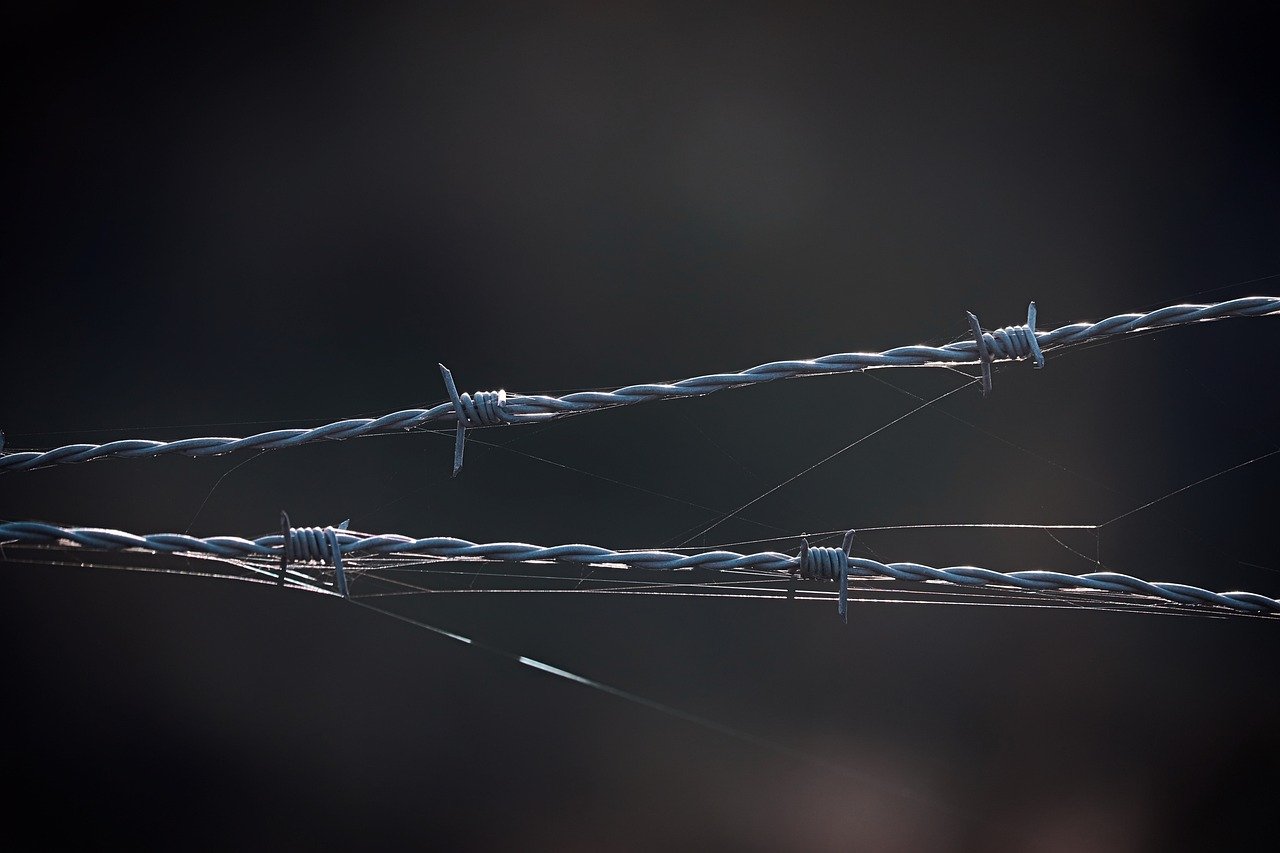 中国联通实名账号：教育云app详情下载教程