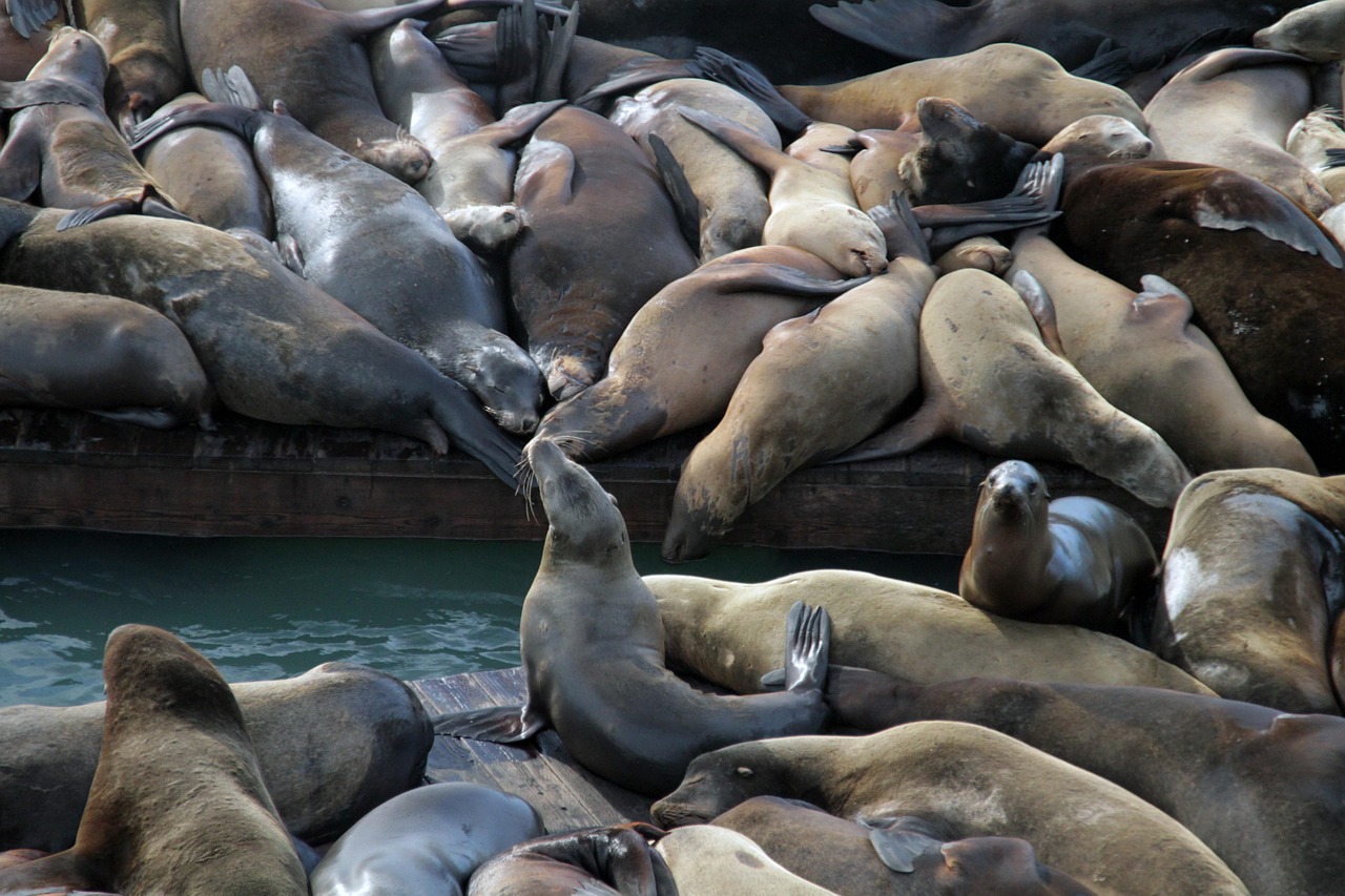 VX小号买卖:爱游戏最新app官方详情下载教程