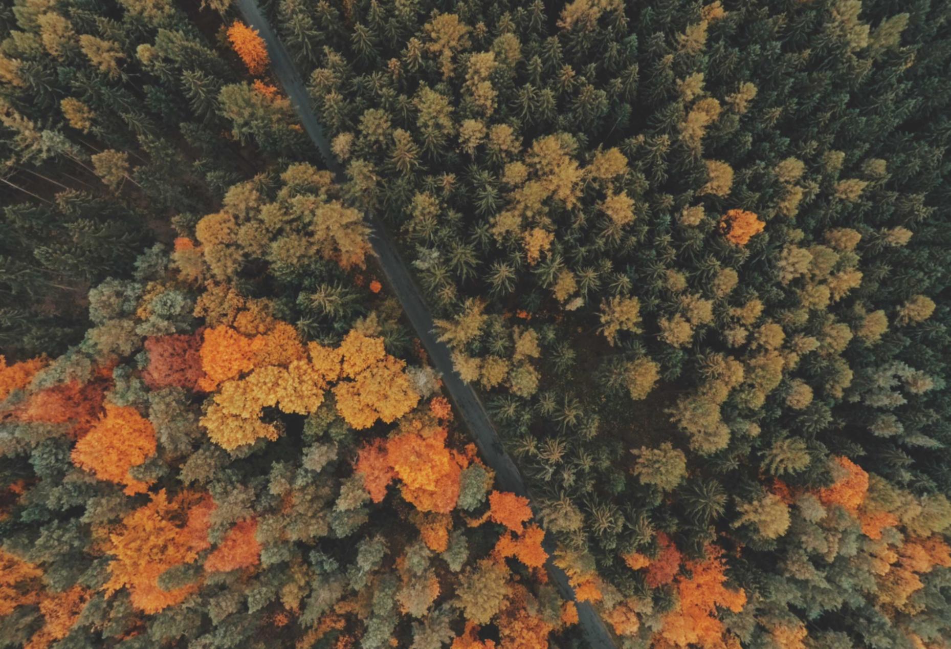 国外微信买卖：实名账号与身份认证