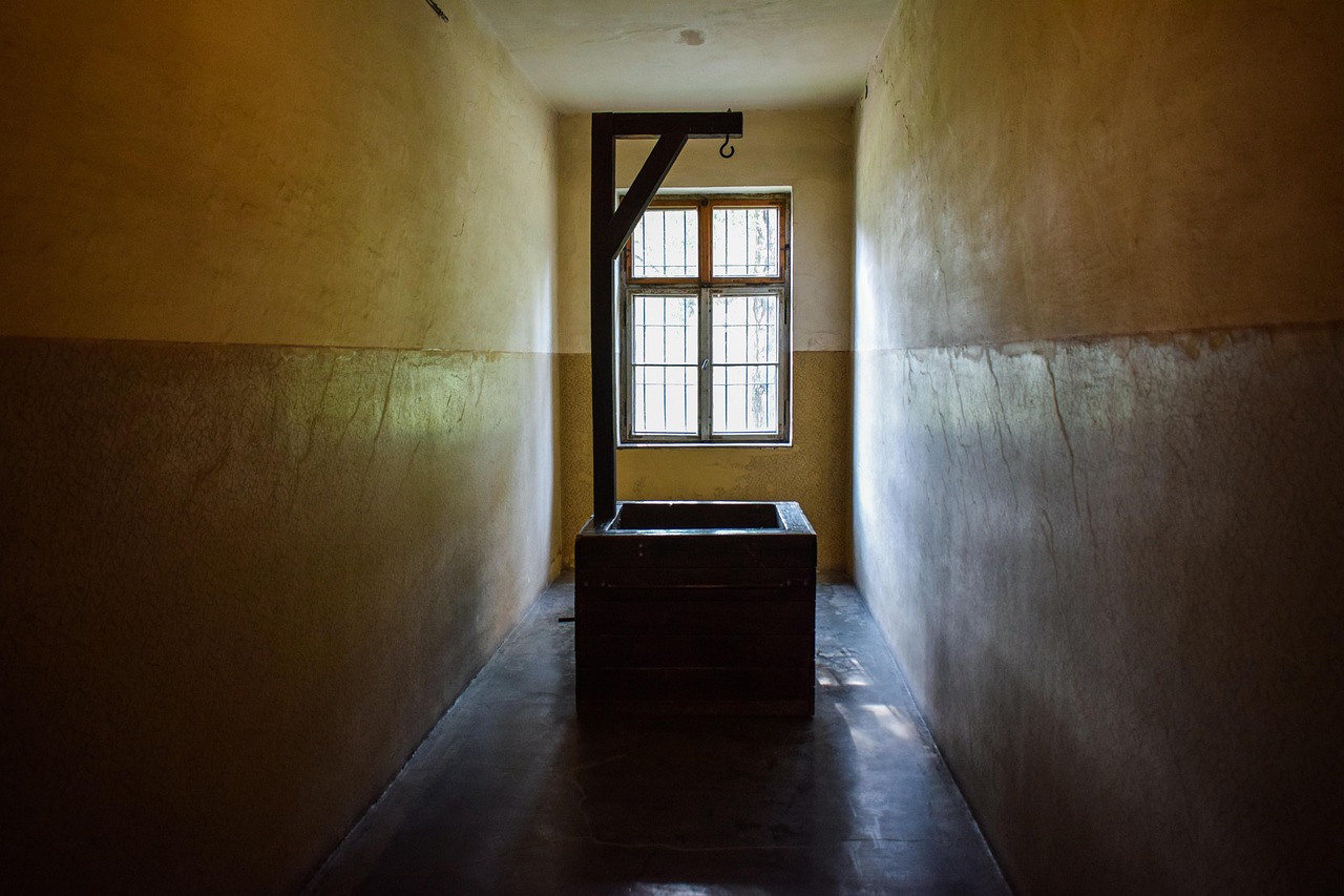 豪利时草莓爆珠:大券商开户平台